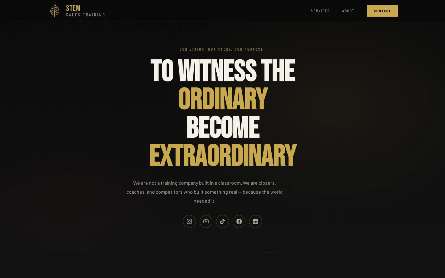 About page headline: To witness the ordinary become extraordinary